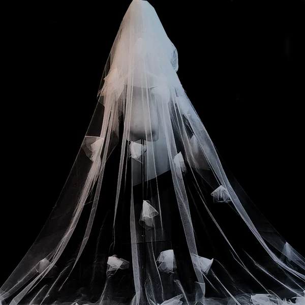 Wedding Bridal Veil Super Long Dragging - Image 4